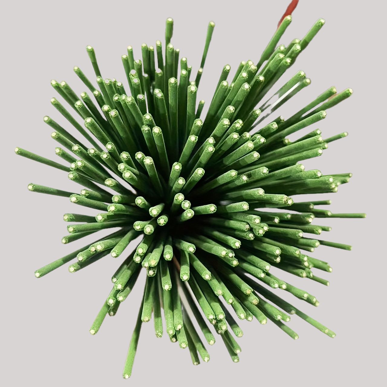 Reed Diffuser Sticks Lemongras - Perfume Fragrance Stick 评论和价格